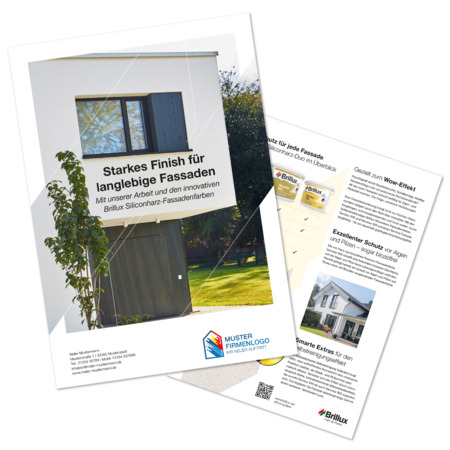 Themenbeileger Siliconharz-Fassadenfarben 